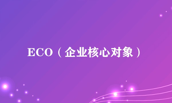 ECO（企业核心对象）