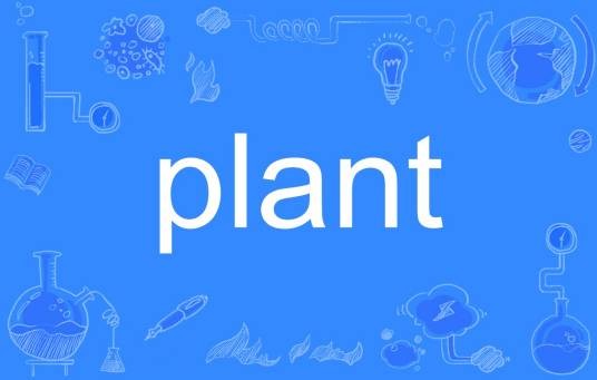 plant（英语单词）