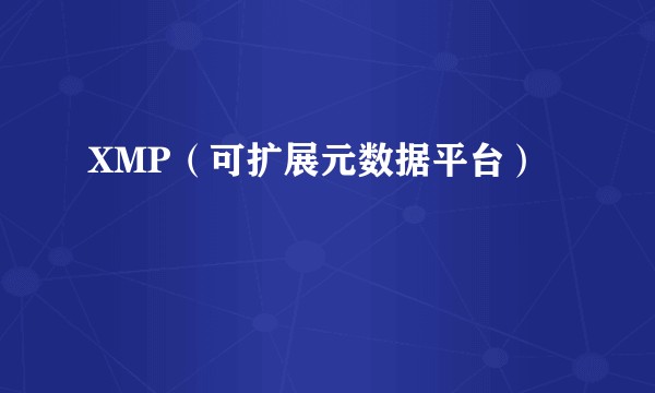 XMP（可扩展元数据平台）
