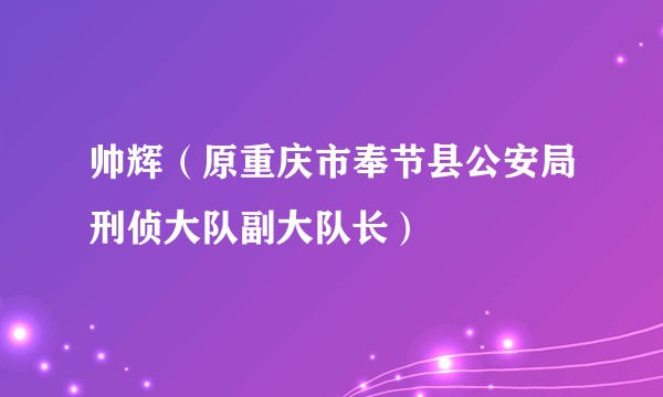 帅辉（原重庆市奉节县公安局刑侦大队副大队长）