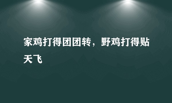 家鸡打得团团转,野鸡打得贴天飞