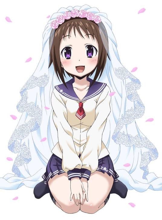 我老婆是学生会长!(SEVEN改编的电视动画)