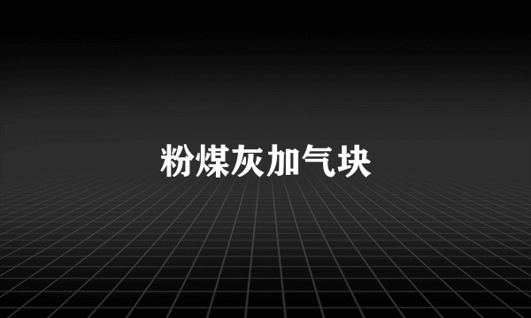 粉煤灰加气块
