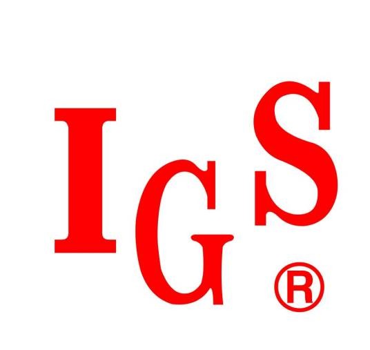 igs(公司简称)