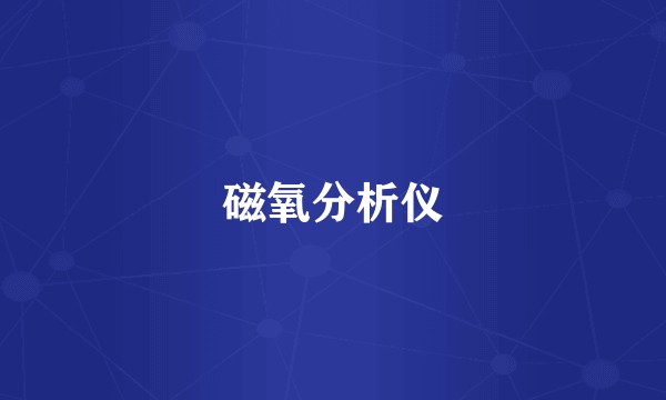 磁氧分析仪
