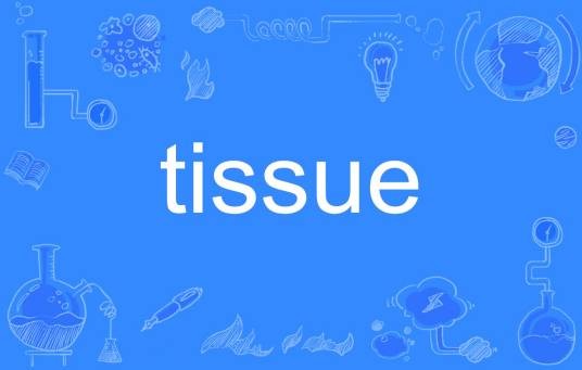 tissue