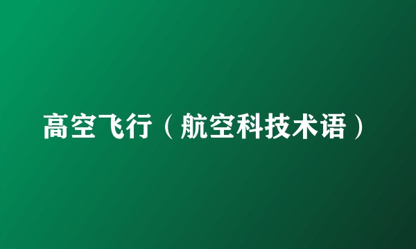 高空飞行（航空科技术语）