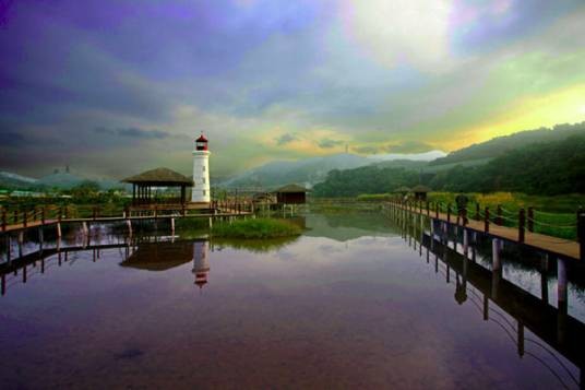 鹤鸣洲樱花温泉度假村