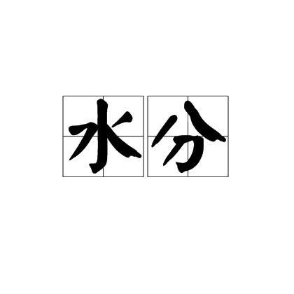 水分（词语词汇）
