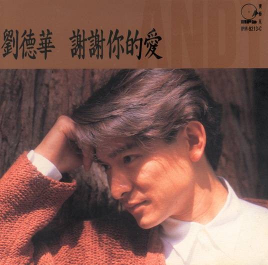 谢谢你的爱（1992年刘德华演唱的歌曲）