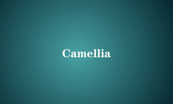 Camellia