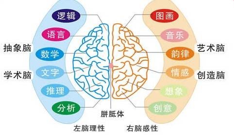 右脑开发音乐