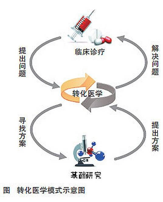 转化医学(科学术语)