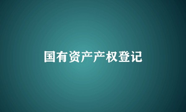 国有资产产权登记