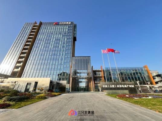 合肥三只羊网络科技有限公司
