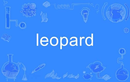 Leopard（英语单词）