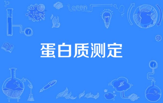 蛋白质测定