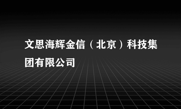 文思海辉金信（北京）科技集团有限公司