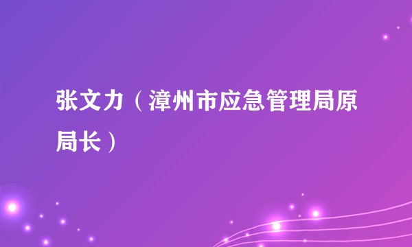 张文力（漳州市应急管理局原局长）