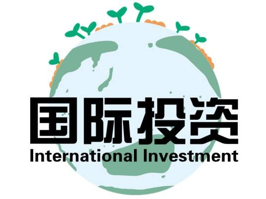 国际投资（2010年中国人民大学出版社出版的图书）