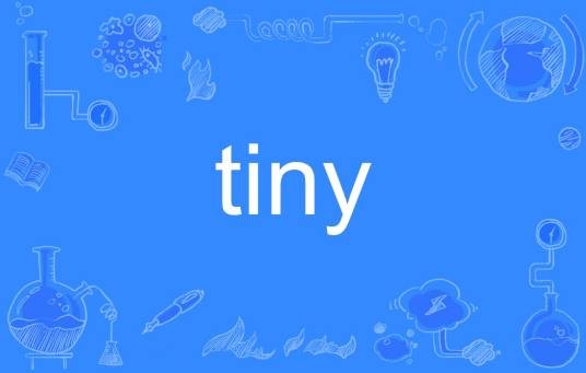 Tiny（英语单词）