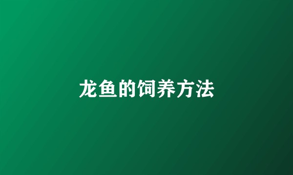 龙鱼的饲养方法
