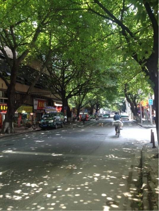 西华路（中国广东省广州市境内道路）