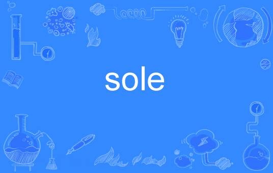 sole（英文单词）