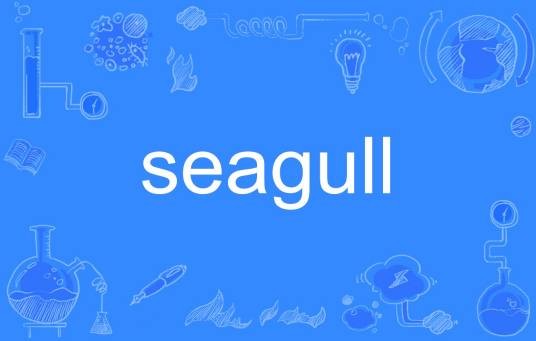 SEAGULL（英文单词）
