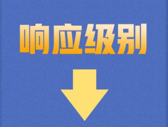 二级响应