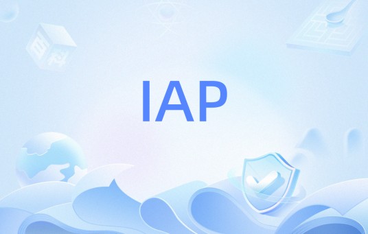 IAP（应用编程）
