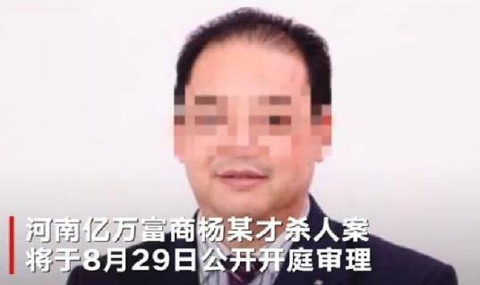 河南富商杀人案