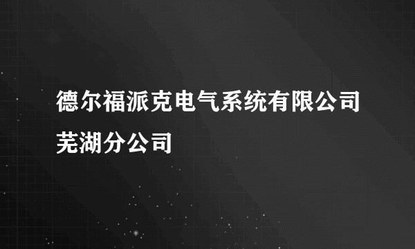 德尔福派克电气系统有限公司芜湖分公司
