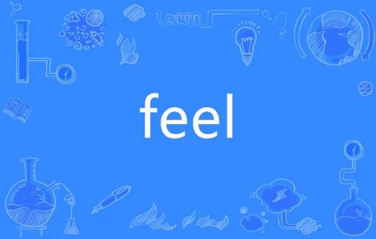 feel（英语单词）