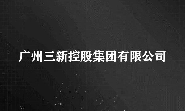 广州三新控股集团有限公司
