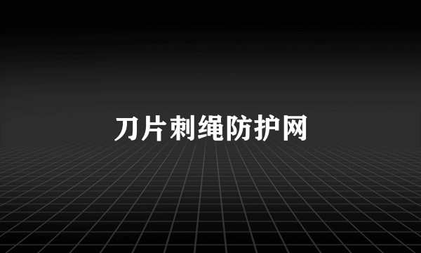 刀片刺绳防护网
