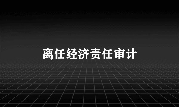 离任经济责任审计