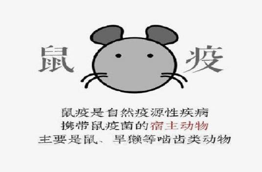 2019年鼠疫疫情