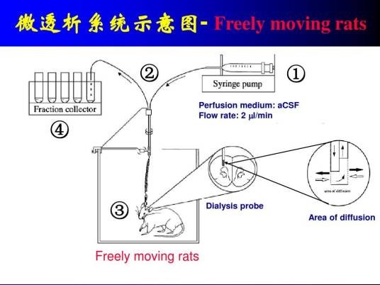 微透析技术