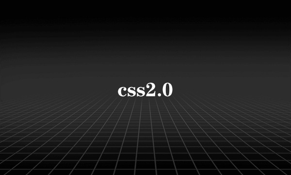 css2.0