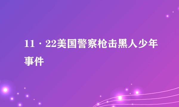 11·22美国警察枪击黑人少年事件
