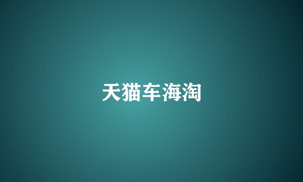 天猫车海淘
