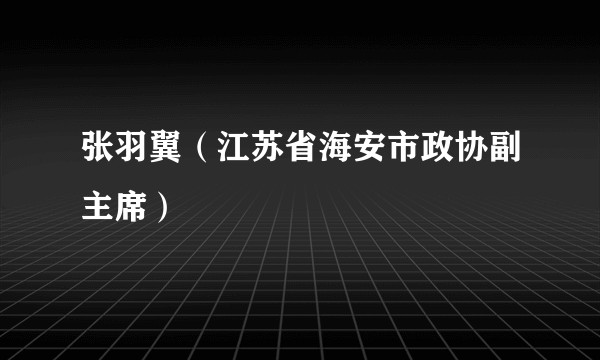 张羽翼（江苏省海安市政协副主席）