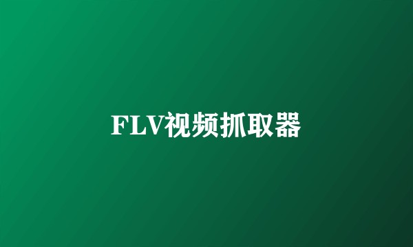 FLV视频抓取器