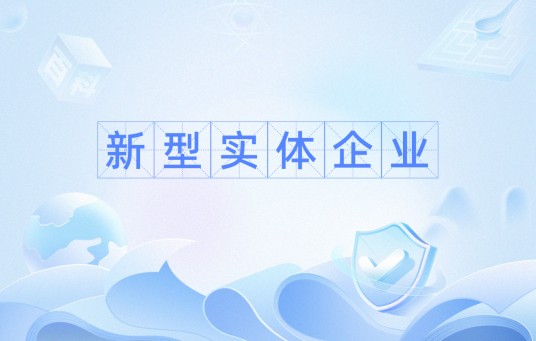 新型实体企业