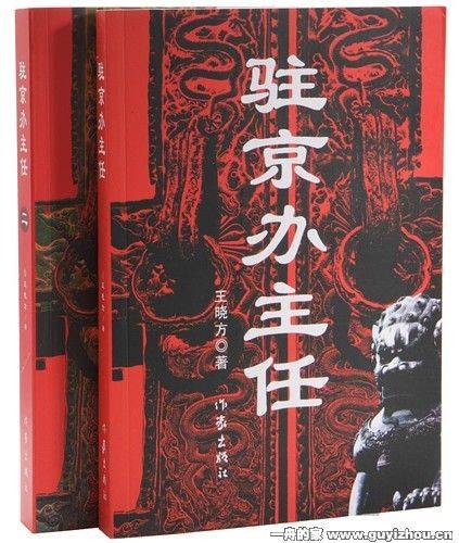 驻京办主任（2008年作家出版社出版的图书）