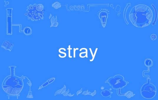stray（英文单词）