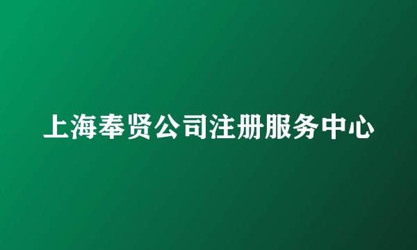 上海奉贤公司注册服务中心