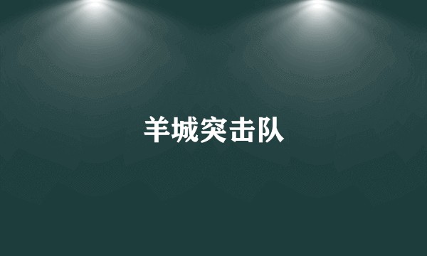 羊城突击队