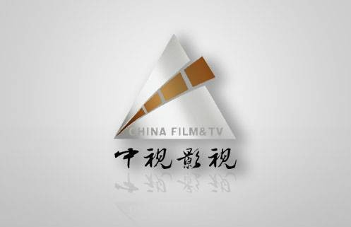 中视影视制作有限公司